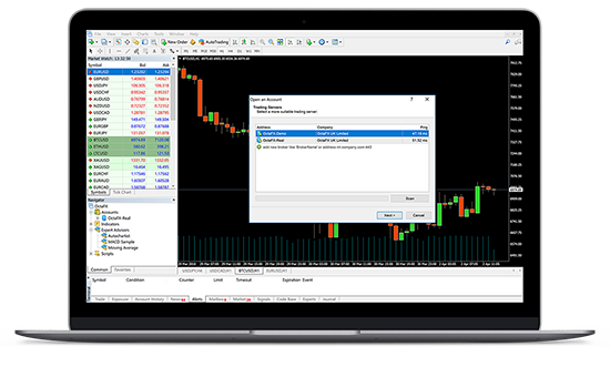 Trading Platform on Laptop